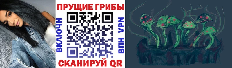 Галлюциногенные грибы Psilocybine cubensis  OMG ССЫЛКА  Вышний Волочёк 