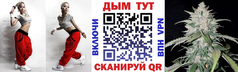 купить закладку Вышний Волочёк Канабис SATIVA & INDICA
